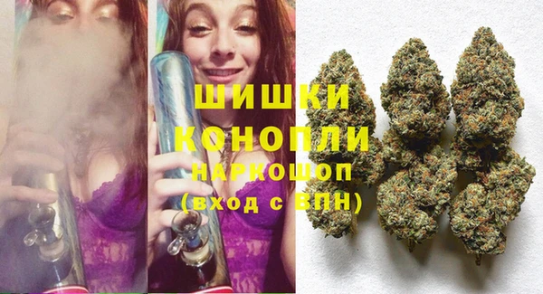 шишки Михайлов