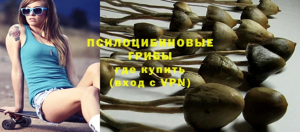 шишки Михайлов