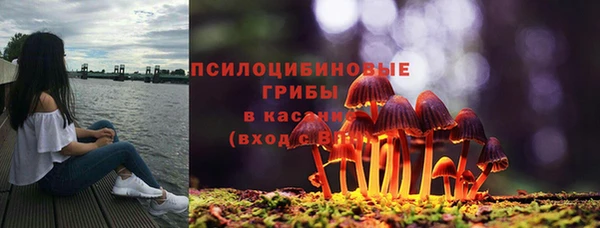 шишки Михайлов