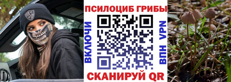 Галлюциногенные грибы Psilocybe  как найти закладки  KRAKEN как зайти  Шебекино 
