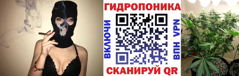 где купить Шебекино МАРИХУАНА OG Kush